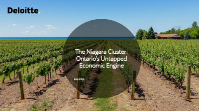 Niagara Supercluster executive summary