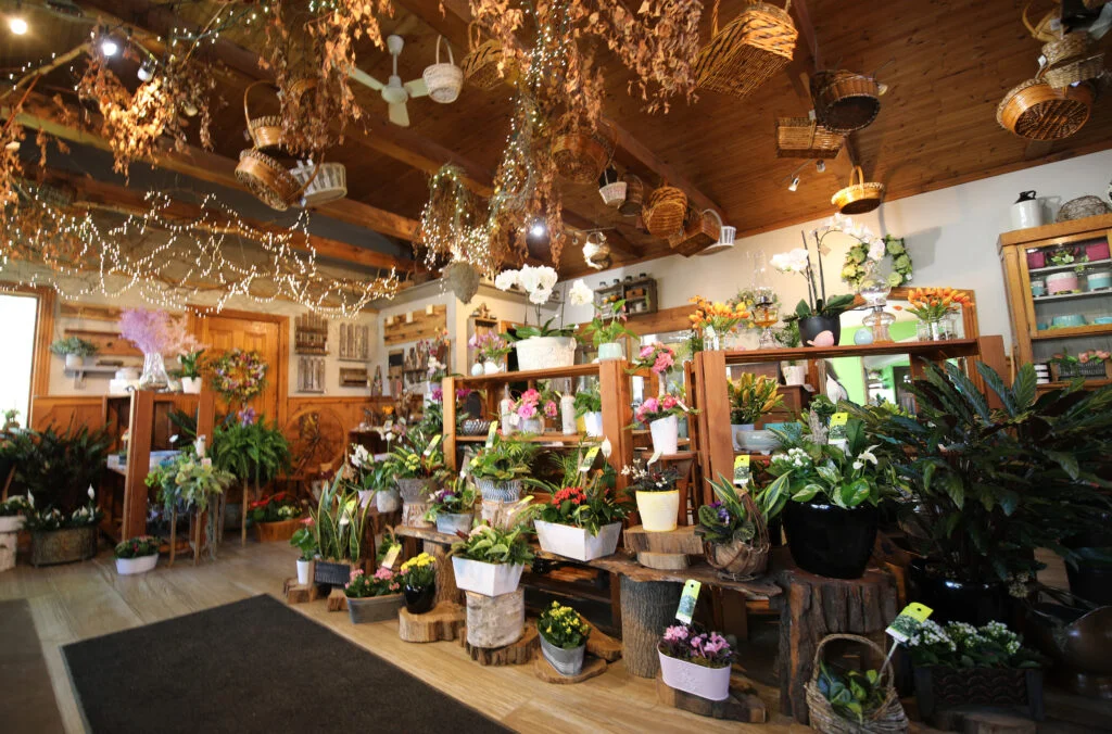 The welcoming shop interior at Goodman's Florist