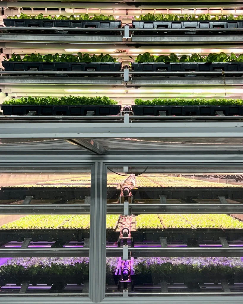Vision Greens' innovative vertical farming system