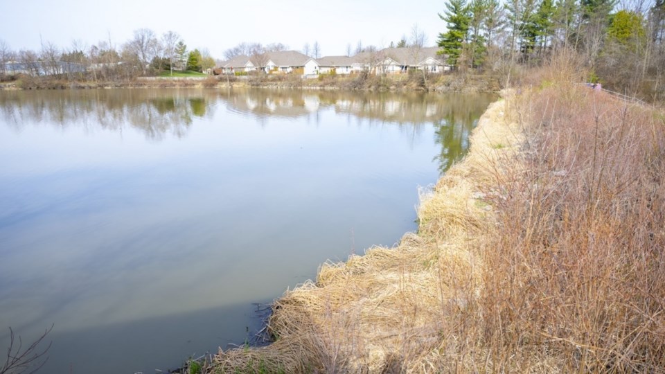 A pond in Niagara-on-the-Lake