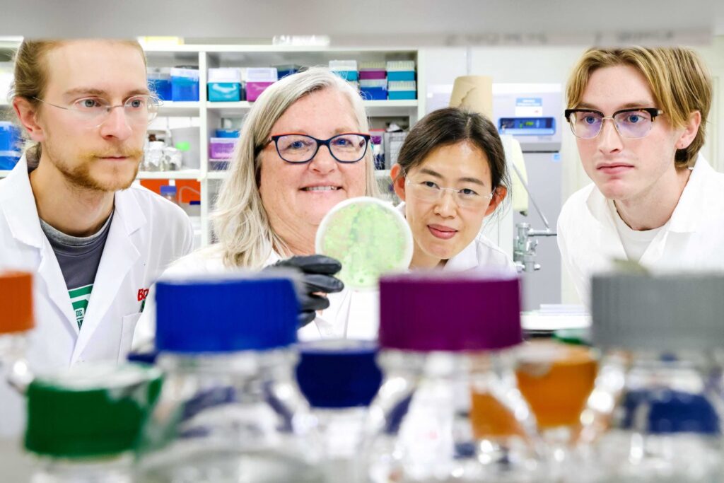 Three graduate students and a lab manager in a laboratory at Brock University