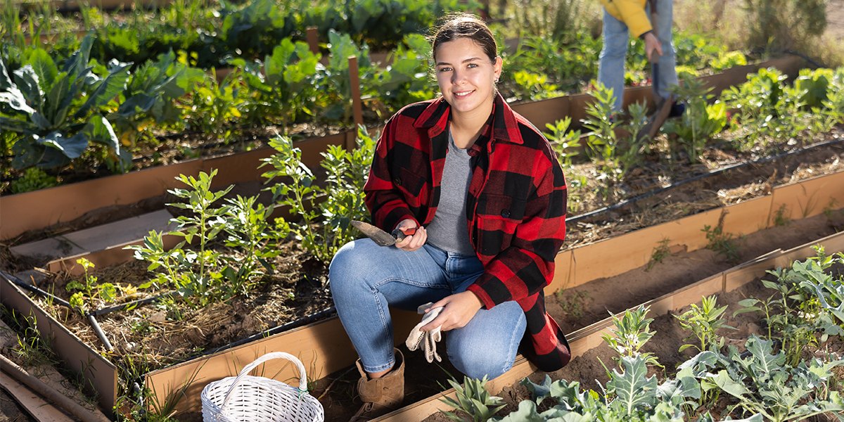 Cheerful young woman caring for vegetable and plant sprouts and holding a basket of gardening tools during daytime in March