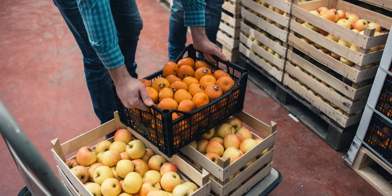 SafetyConnectionInsighttoActionSafetyRisksinFoodandBeverageWholesaleDistribution copy