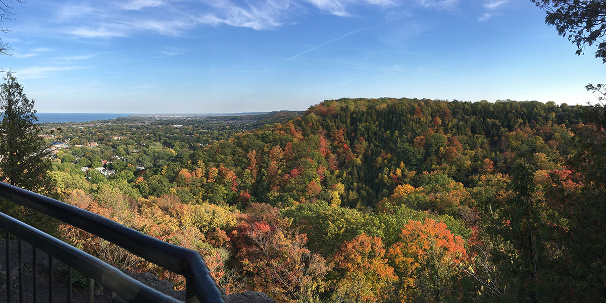 Beamer conservation area